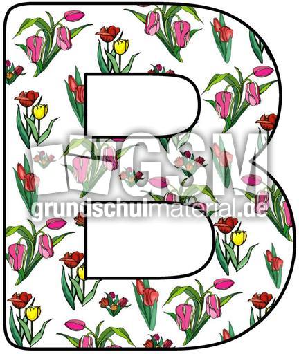 Tulpen-Buchstabe-B.jpg